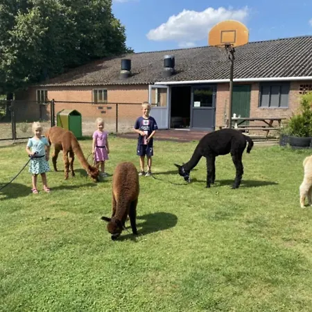 Minicamping De Lindenhoeve - Safaritent Varkentje Chalet *