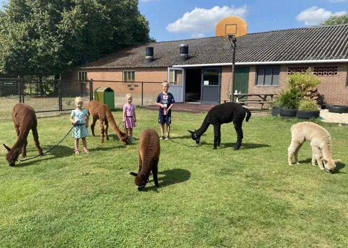 Minicamping De Lindenhoeve - Safaritent Varkentje Chalet *